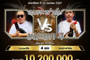 เทปไก่ชน 21 เมษายน 2567