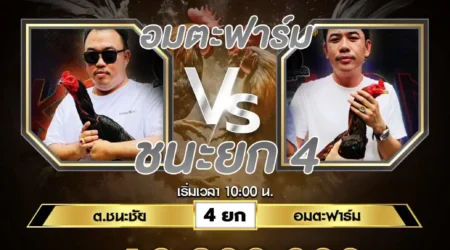 เทปไก่ชน 21 เมษายน 2567