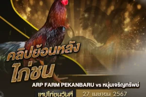 เทปไก่ชน 27 เมษายน 2567