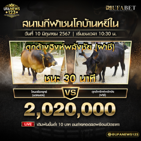ย้อนหลังวัวชน สนามชนโคบ้านหยีใน 10 มิถุนายน 2567