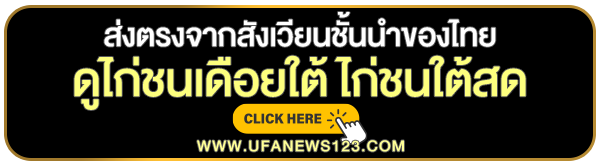 ถ่ายทอดสดไก่ชนเดือยใต้