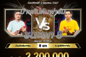 เทปไก่ชน บ้านกัปตันฟาร์ม VS ส.สุทธิชัยฟาร์ม 02 มิถุนายน 2567