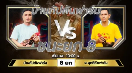 เทปไก่ชน บ้านกัปตันฟาร์ม VS ส.สุทธิชัยฟาร์ม 02 มิถุนายน 2567