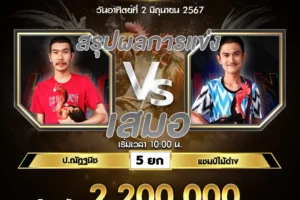 เทปไก่ชน ป.ณัฏฐนิช VS แชมป์ไม้ด่าง 02 มิถุนายน 2567