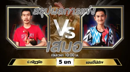 เทปไก่ชน ป.ณัฏฐนิช VS แชมป์ไม้ด่าง 02 มิถุนายน 2567