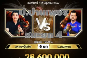 เทปไก่ชน มหาเฮงวู๊ดชิฟ VS ป.ปานเพชร 02 มิถุนายน 2567