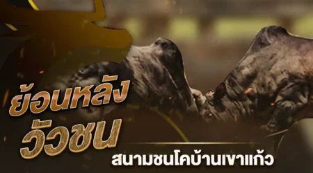 วัวชนย้อนหลัง 05 มิถุนายน 2567