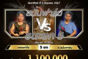 เทปไก่ชน เพชรกำไร VS ส.สนั่นฟาร์ม 02 มิถุนายน 2567