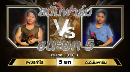 เทปไก่ชน เพชรกำไร VS ส.สนั่นฟาร์ม 02 มิถุนายน 2567