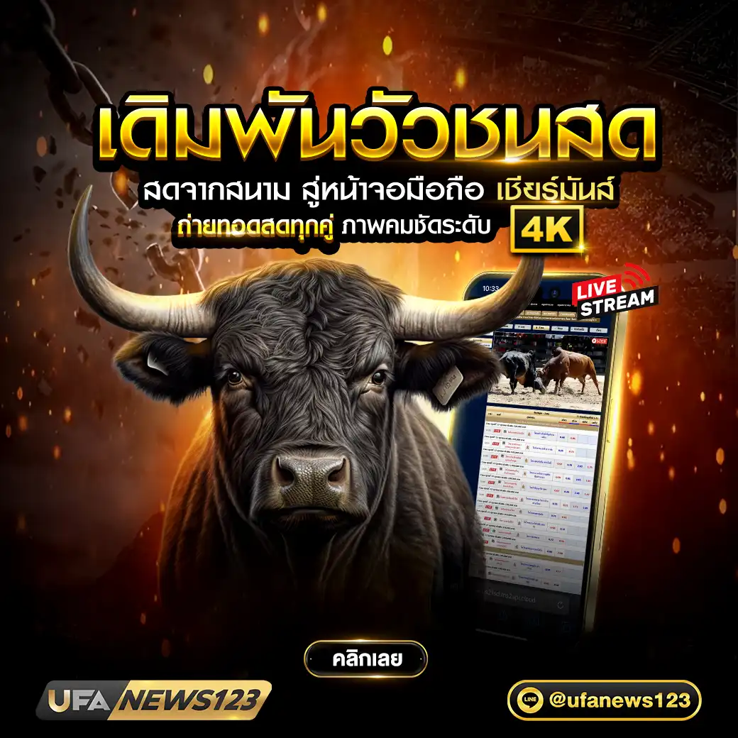 เว็บวัวชนออนไลน์ UFANEWS ถ่ายทอดสดวัวชน โปรแกรกรม สรุปผล เปิดราคาโดย R1UFABET เชื่อถือได้