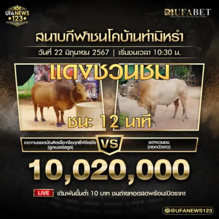 ย้อนหลังวัวชน 22 มิถุนายน 2567