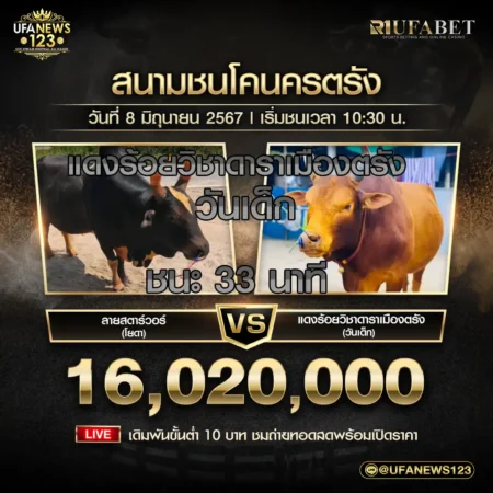 ย้อนหลังวัวชน สนามชนโคนครตรัง 08 มิถุนายน 2567
