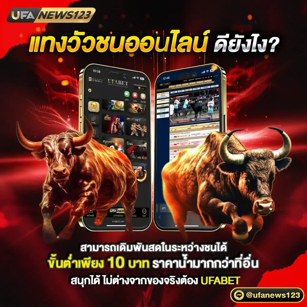 ข้อดีแทงวัวชนออนไลน์ มีอะไรบ้าง