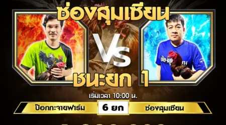 เทปไก่ชน ป๊อกกะจายฟาร์ม VS ซ่องสุมเชียน 14 กรกฎาคม 2567