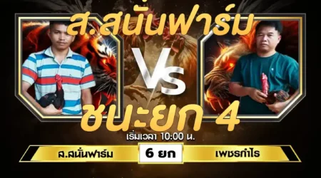 เทปไก่ชน ส.สนั่นฟาร์ม VS เพชรกำไร 06 กรกฎาคม 2567