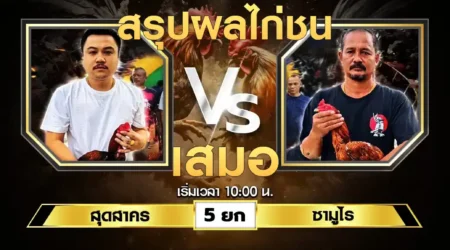 เทปไก่ชน สุดสาคร VS ซามูไร 06 กรกฎาคม 2567