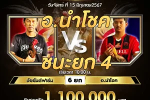 เทปไก่ชน ชัยยันต์ฟาร์ม VS อ.นำโชค 15 กรกฎาคม 2567