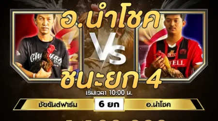 เทปไก่ชน ชัยยันต์ฟาร์ม VS อ.นำโชค 15 กรกฎาคม 2567