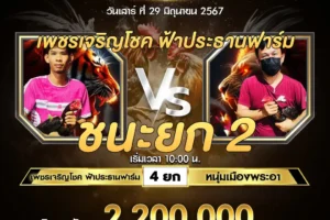 เทปไก่ชน เพชรเจริญโชค VS หนุ่มเมืองพระอา 29 มิถุนายน 2567