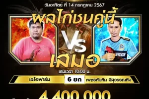 เทปไก่ชน เลโอฟาร์ม VS เพชรทับทิม มีสุวรรณทีม 14 กรกฎาคม 2567