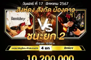 เทปไก่ชน เพชรเจริญโชค&ฟ้าประทาน56 VS สิงห์ดง 17 สิงหาคม 2567
