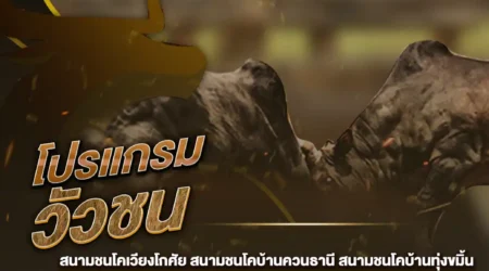 โปรแกรมวัวชน 22 กันยายน 2567