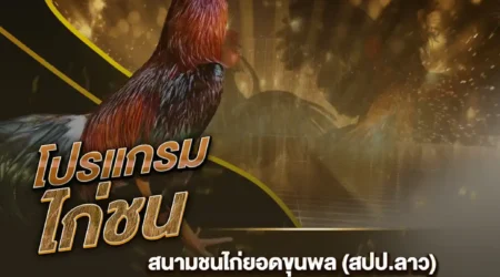 โปรแกรมไก่ชน 23 กันยายน 2567