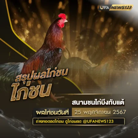 ผลไก่ชน 25 พฤศจิกายน 2567