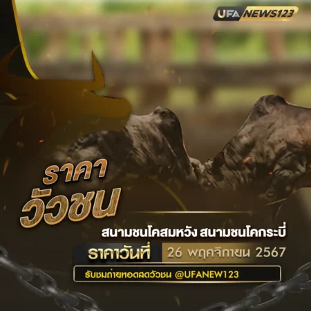 ราคาวัวชน 26 พฤศจิกายน 2567