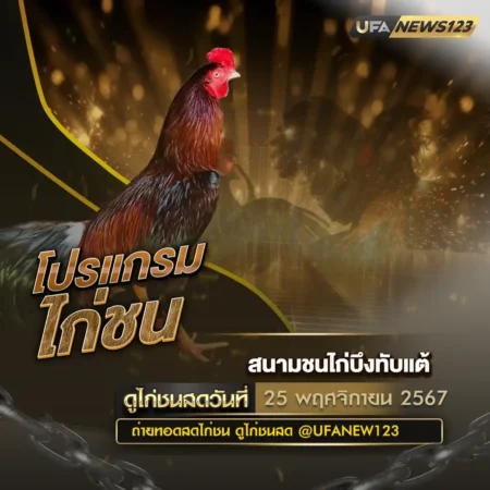 โปรแกรมไก่ชน 25 พฤศจิกายน 2567