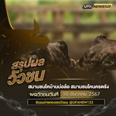 ผลวัวชน 10 ธันวาคม 2567