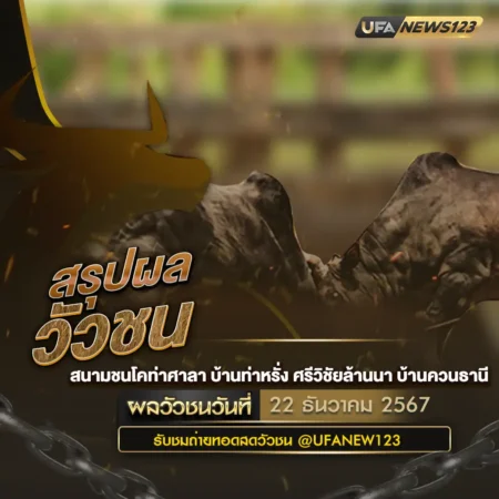 ผลวัวชน 22 ธันวาคม 2567