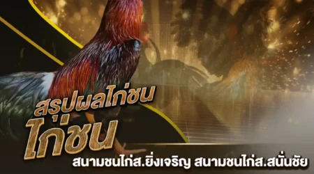 ผลไก่ชน 15 ธันวาคม 2567