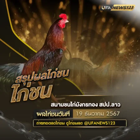 ผลไก่ชน 19 ธันวาคม 2567