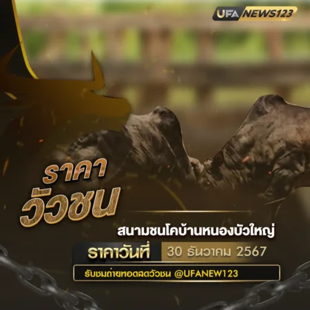 ราคาวัวชน 30 ธันวาคม 2567