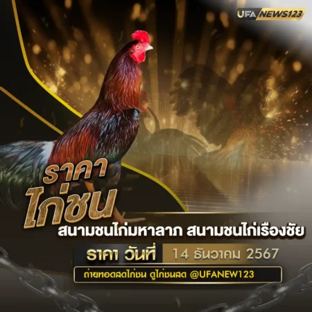 ราคาไก่ชน 14 ธันวาคม 2567