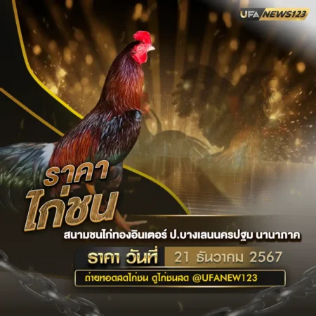ราคาไก่ชน 21 ธันวาคม 2567