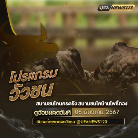 โปรแกรมวัวชน 06 ธันวาคม 2567