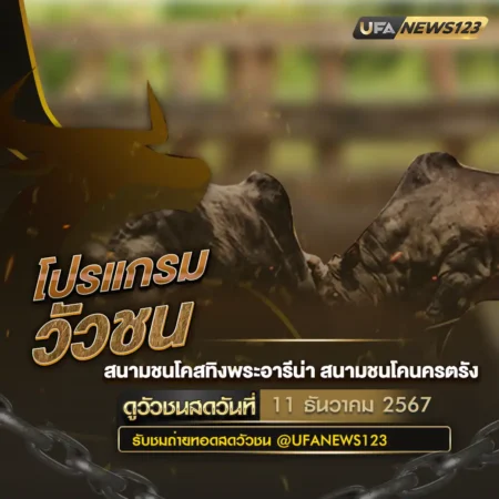 โปรแกรมวัวชน 11 ธันวาคม 2567
