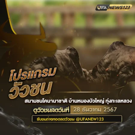 โปรแกรมวัวชน 28 ธันวาคม 2567