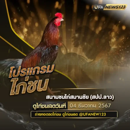 โปรแกรมไก่ชน 04 ธันวาคม 2567