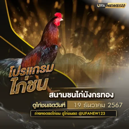 โปรแกรมไก่ชน 19 ธันวาคม 2567