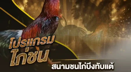 โปรแกรมไก่ชน 16 ธันวาคม 2567
