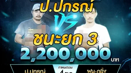 เทปไก่ชน ป.ปกรณ์ VS ฝน-กลิ้ง 12 มกราคม 2568
