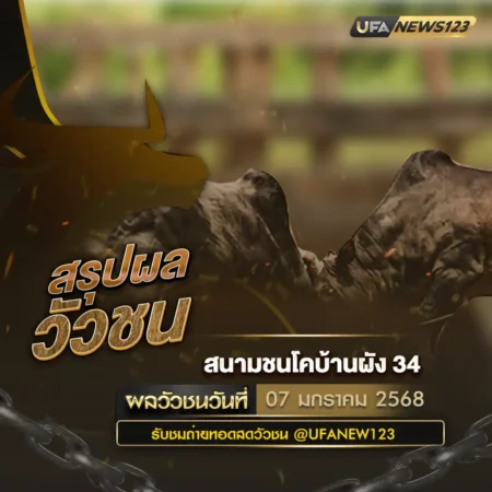 ผลวัวชน 07 มกราคม 2568