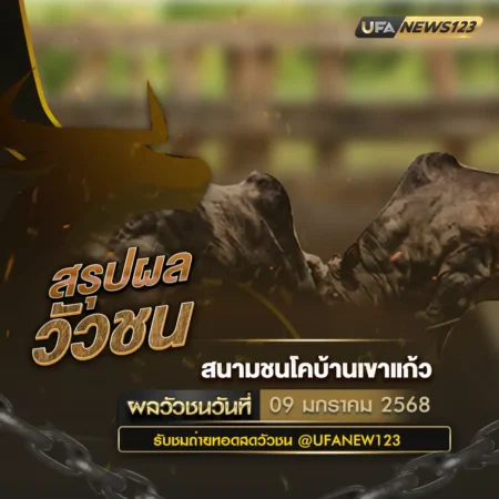 ผลวัวชน 09 มกราคม 2568