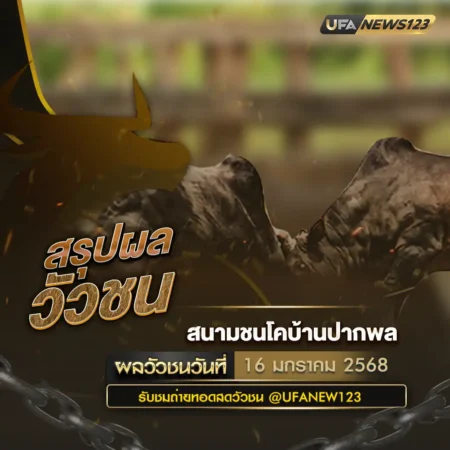 ผลวัวชน 16 มกราคม 2568