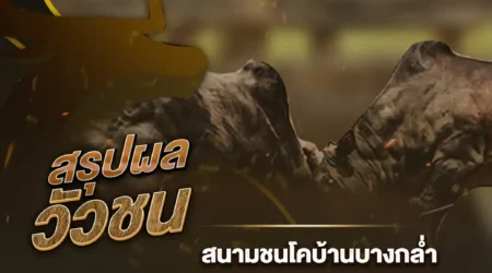 ผลวัวชน 18 มกราคม 2568