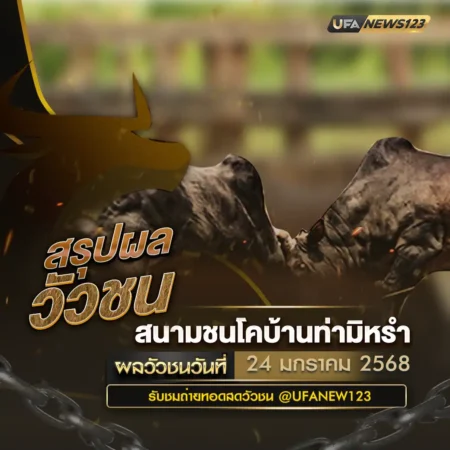ผลวัวชน 24 มกราคม 2568