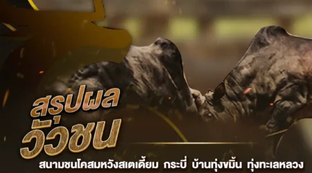 ผลวัวชน 25 มกราคม 2568